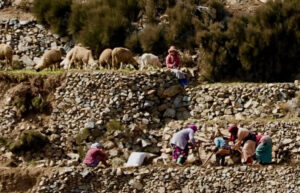 Atlas Eco-tours - Voyages aventure, treks et randonnées au Maroc