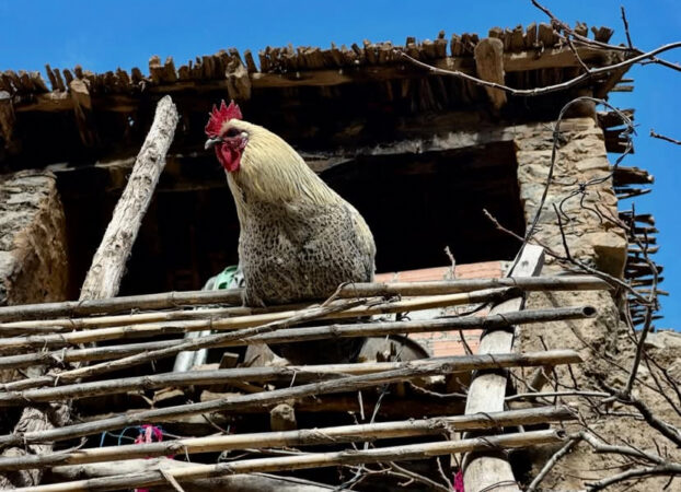 Atlas Eco-tours - Voyages aventure, treks et randonnées au Maroc